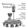ShivlingTrishul