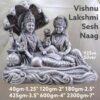 Vishnu Laxmi Sheshnaag