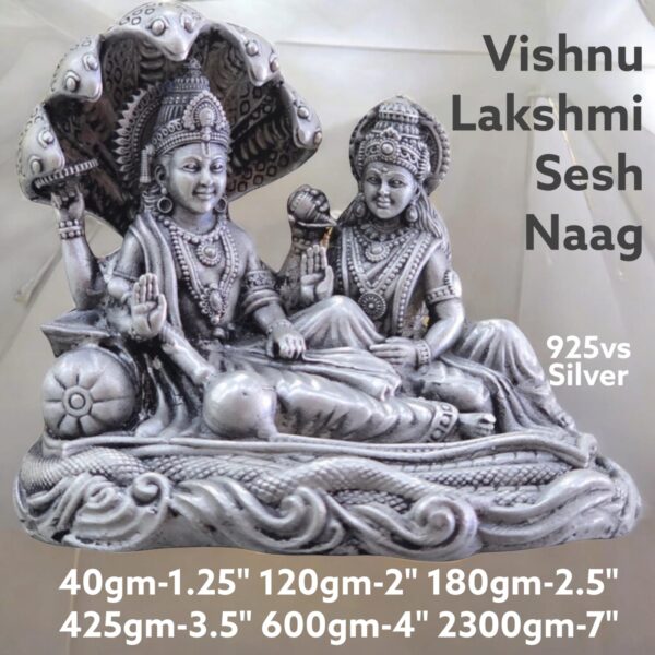 Vishnu Laxmi Sheshnaag