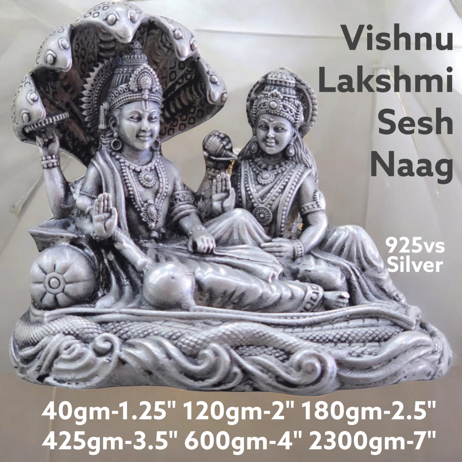 Vishnu Laxmi Sheshnaag